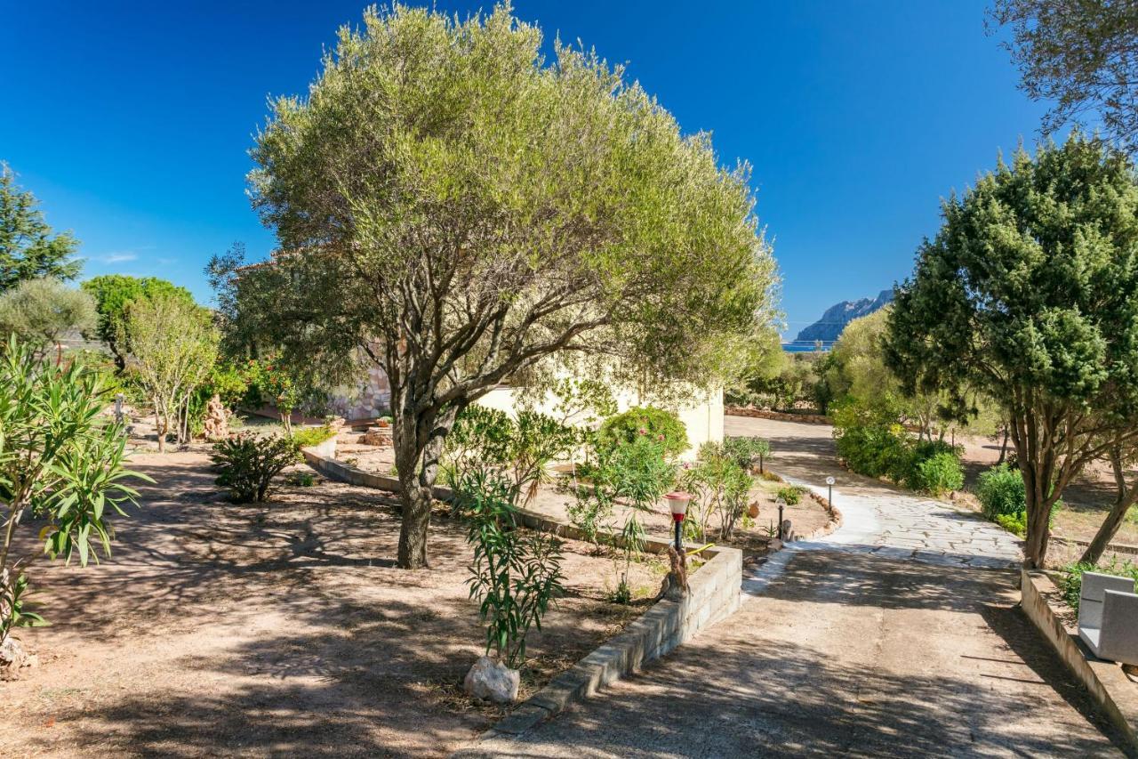 Appartement Casa Relax à Porto San Paolo  Extérieur photo